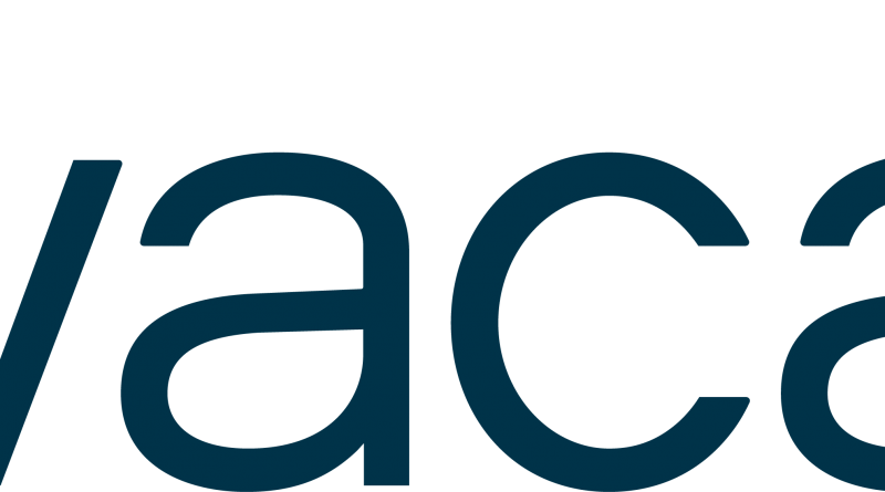 team management software